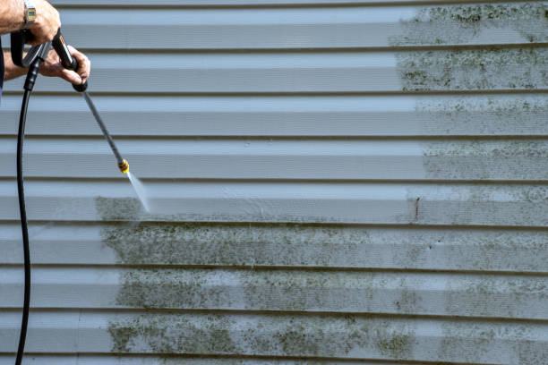 Affordable Siding Repair and Maintenance Services in Bemiss, GA